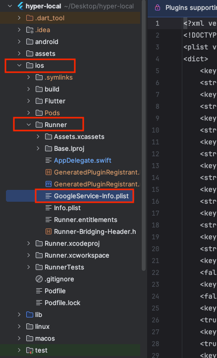 GoogleService-Info.plist placed in ios/Runner